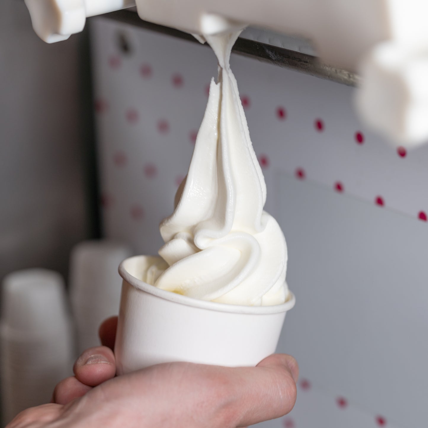 Natural Frozen Yogurt Powder Mix 1.6Kg