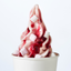 Fruits of the Forest Frozen Yogurt Powder Mix 1.95Kg